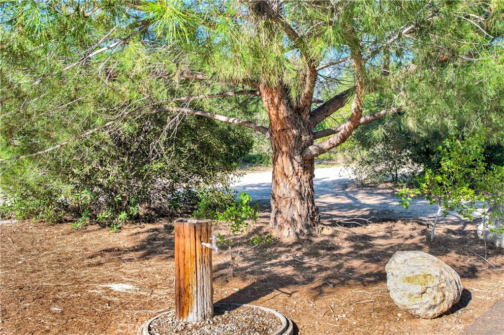 16 Calle Maria, Rancho Santa Margarita CA 92688 - photo 70