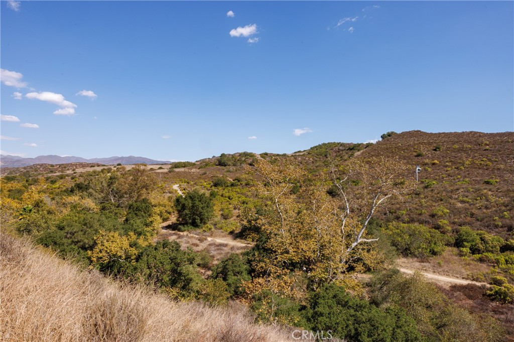 4 Velarde Court, Rancho Santa Margarita CA 92688 - photo 29