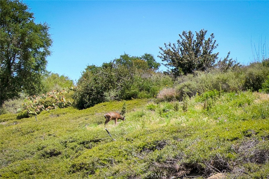 58 Mira Mesa, Rancho Santa Margarita CA 92688 - photo 7