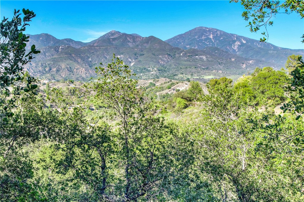 7 Via Encanto, Rancho Santa Margarita CA 92688 - photo 71