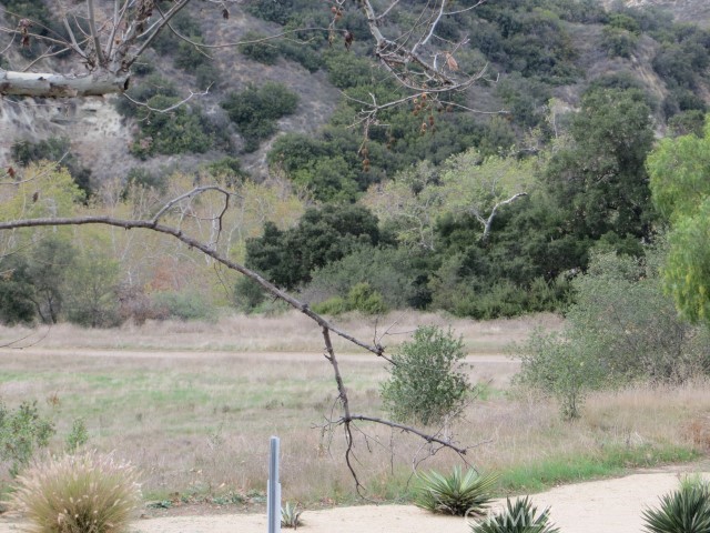 87 Fuente, Rancho Santa Margarita CA 92688 - photo 34