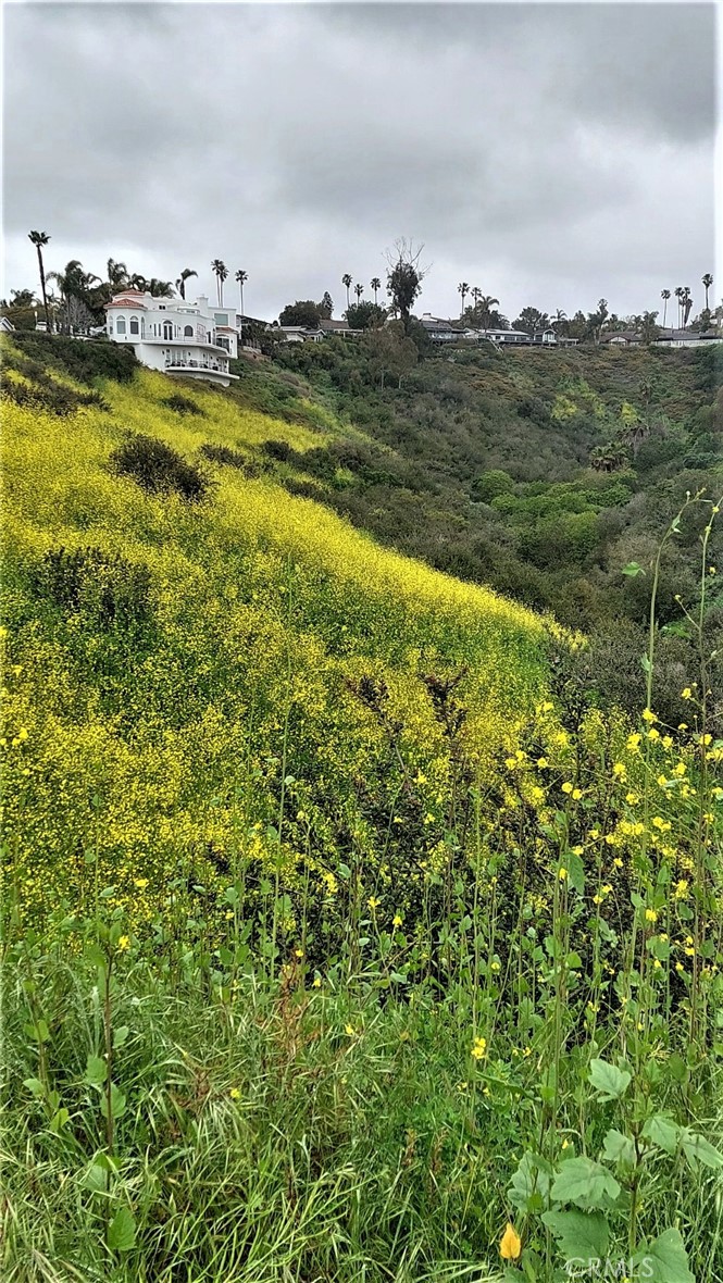 0 El Levante, San Clemente CA 92672 - photo 5