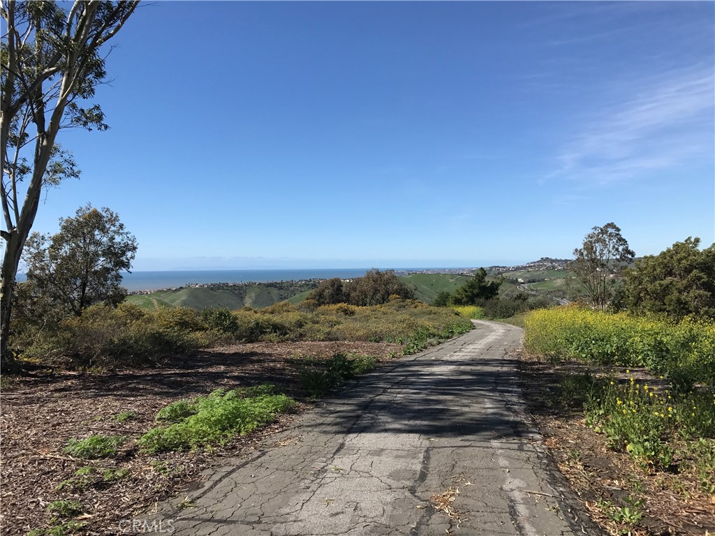Ridgeline Trail located in Rancho San Clemente. - 1031 Via Presa, San Clemente CA 92672 - photo 49