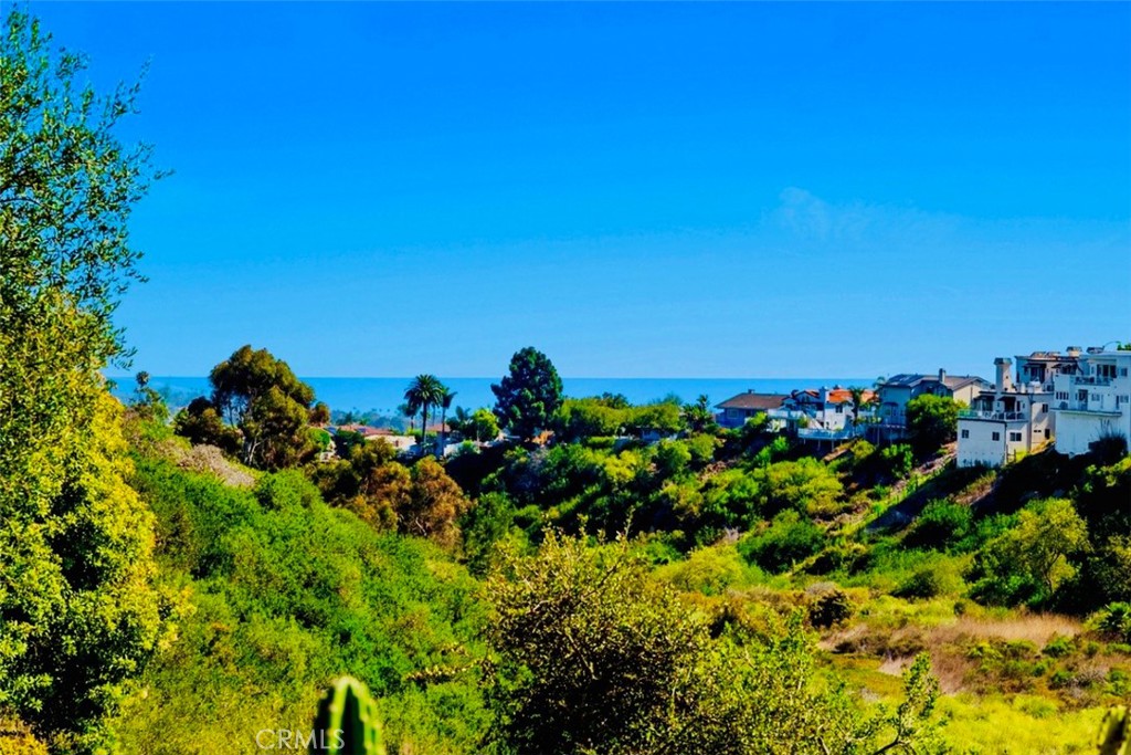 115 Via Ensueno, San Clemente CA 92672 - photo 11