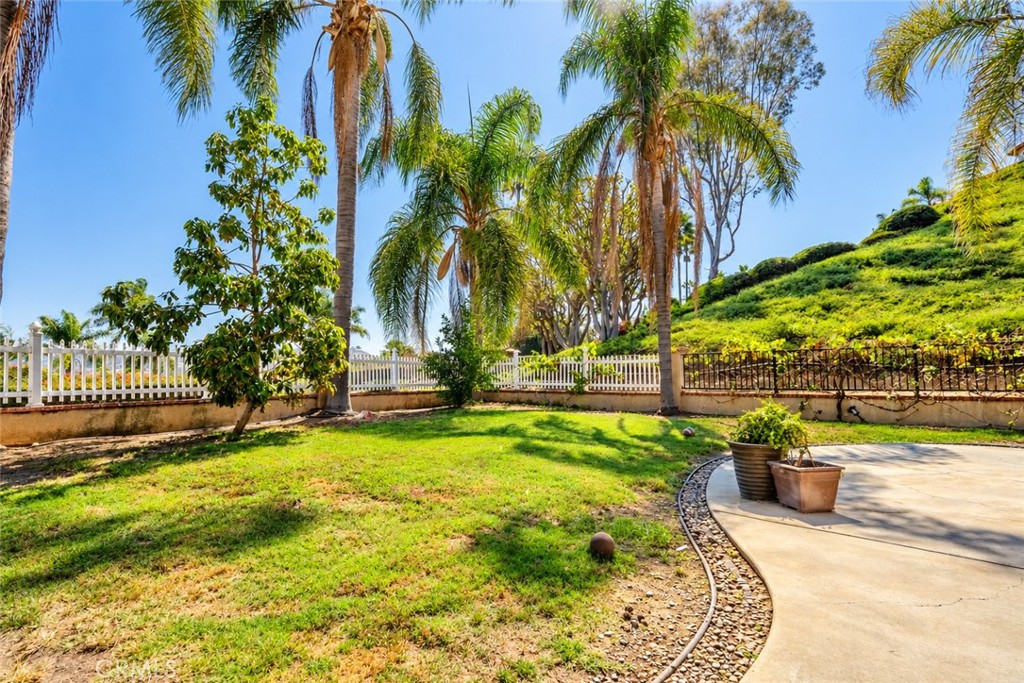 1317 Altura, San Clemente CA 92673 - photo 43