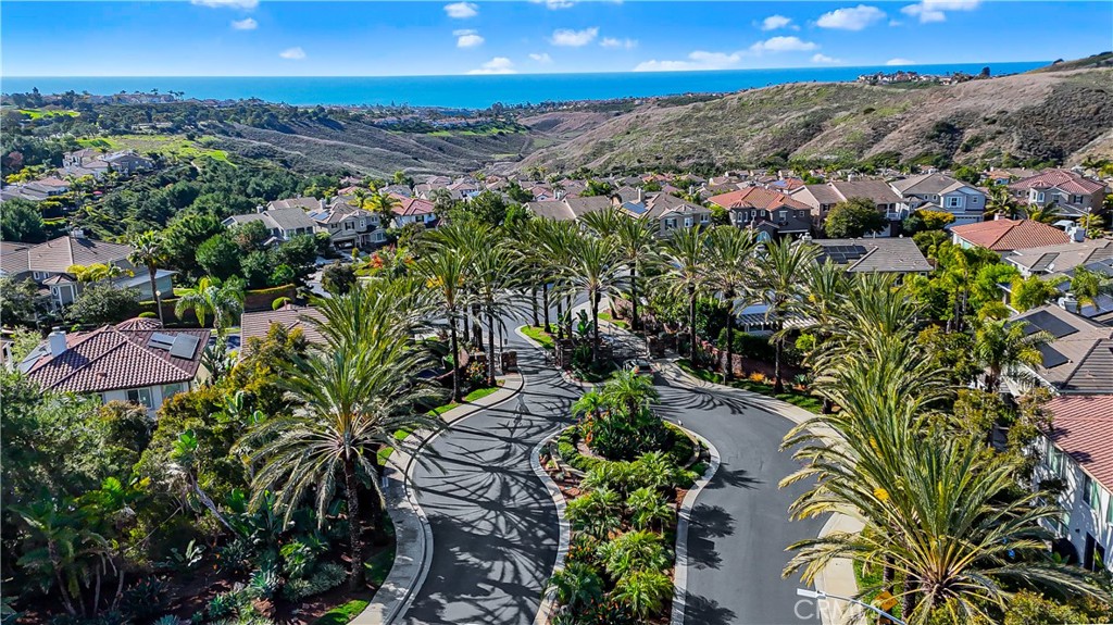The Reserve South - 1415 Manera Ventosa, San Clemente CA 92673 - photo 37