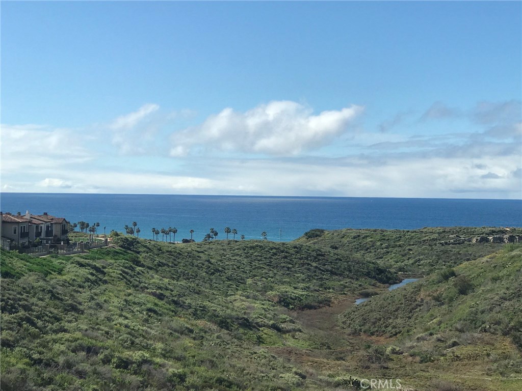 Amazing views just steps from this home - 154 Via Galicia, San Clemente CA 92672 - photo 2