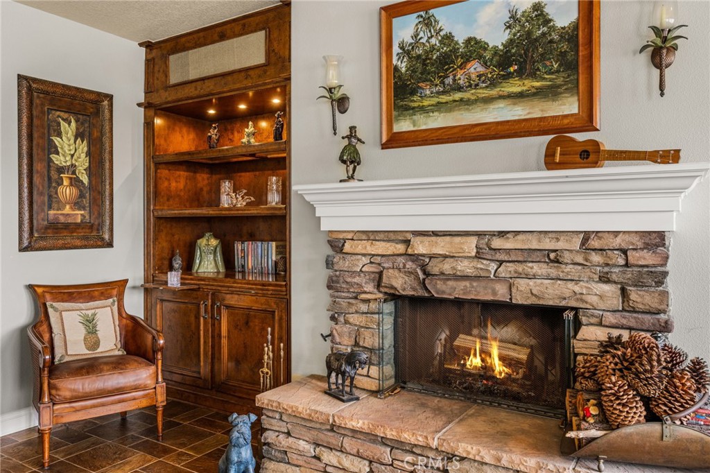 Cozy Fireplace - 17 Corte Rivera, San Clemente CA 92673 - photo 10