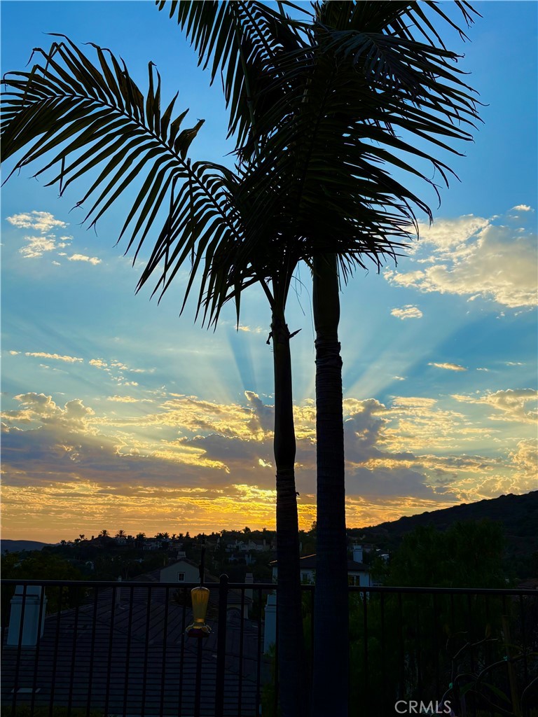 Sunsets - 17 Corte Rivera, San Clemente CA 92673 - photo 51