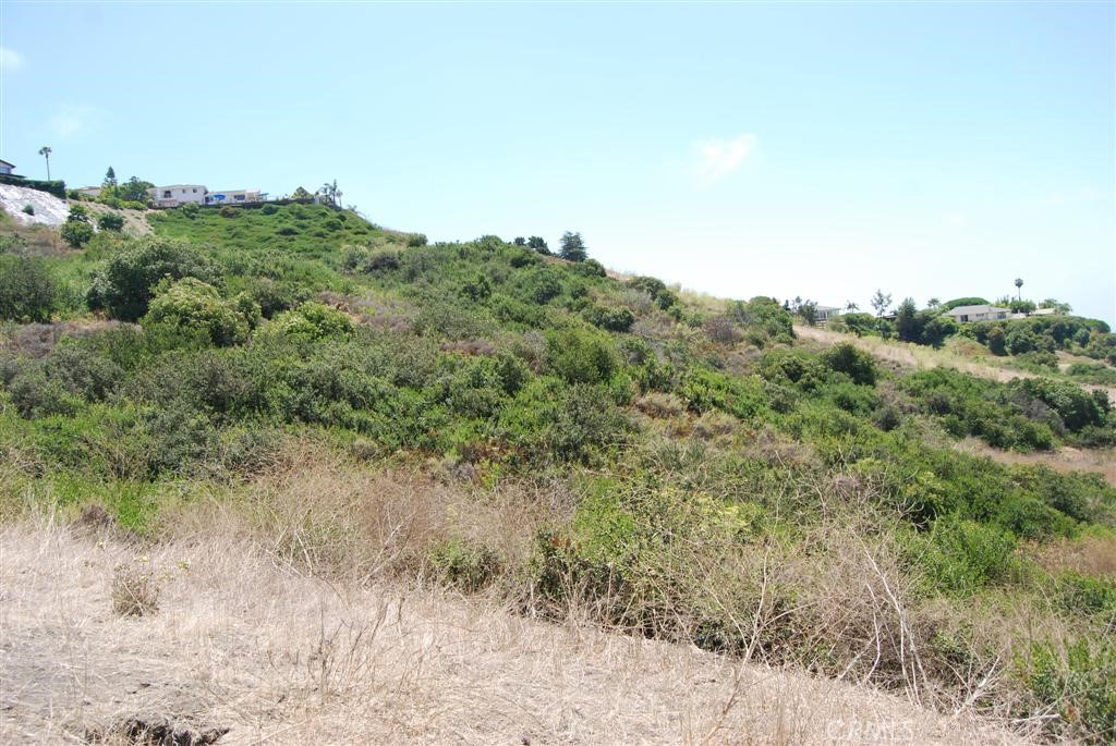 170 AVENIDA PRESIDIO, San Clemente CA 92672 - photo 6