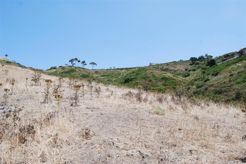 170 AVENIDA PRESIDIO, San Clemente CA 92672 - photo 8