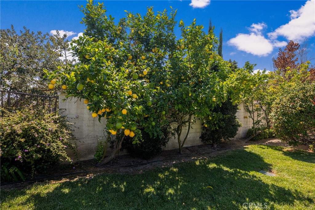 18 Calle De La Luna, San Clemente CA 92673 - photo 49