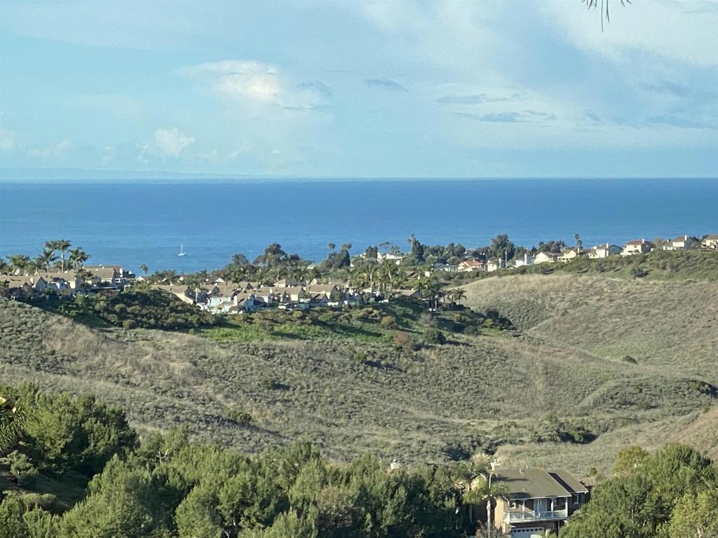 2044 Costero Hermoso, San Clemente CA 92673 - photo 2