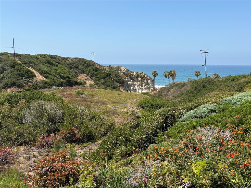 235 Avenida Lobeiro 113, San Clemente CA 92672 - photo 28