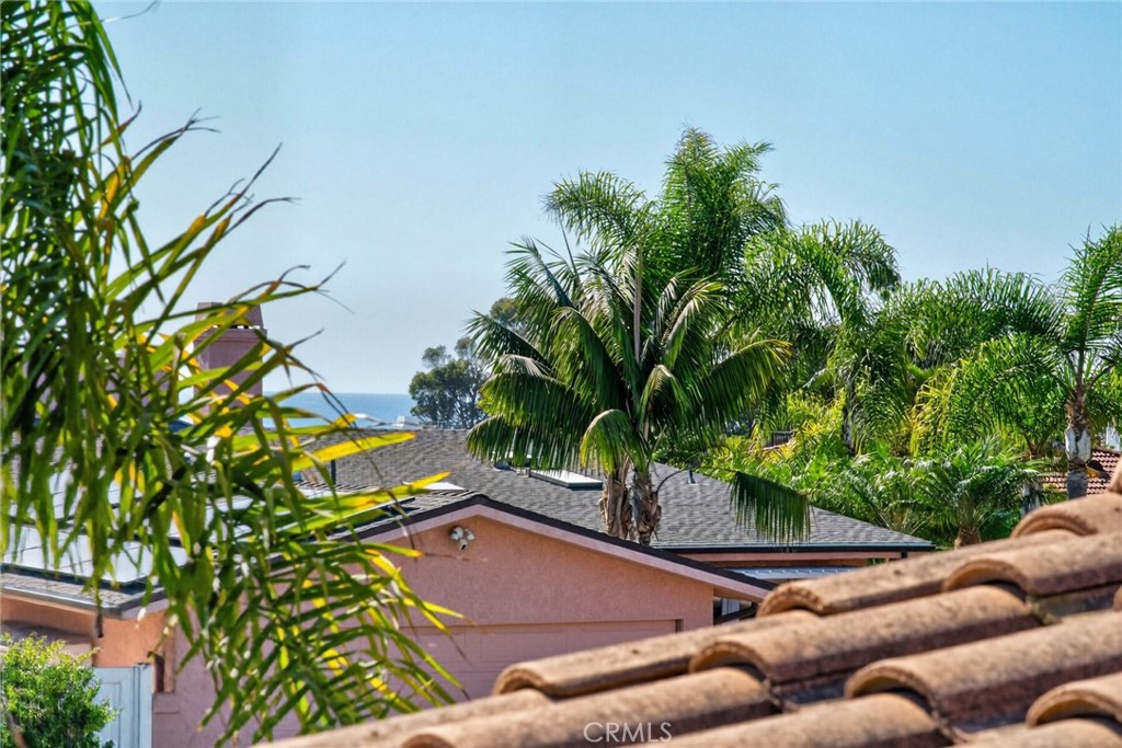 Ocean view from the roof top deck - 2403 Calle Monte Carlo, San Clemente CA 92672 - photo 53