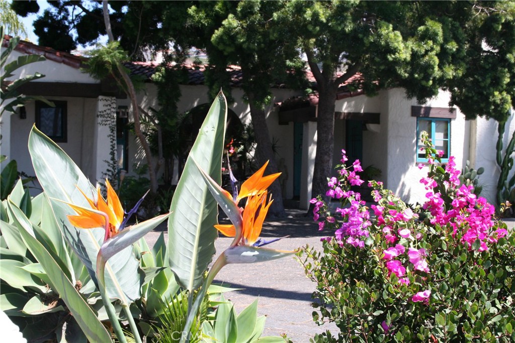 243 #6 AVENIDA MADRID, San Clemente CA 92672 - photo 1