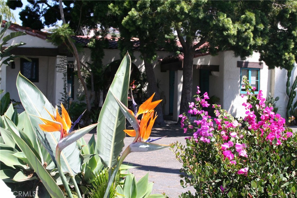 243 Avenida Madrid 8 1/2, San Clemente CA 92672 - photo 1