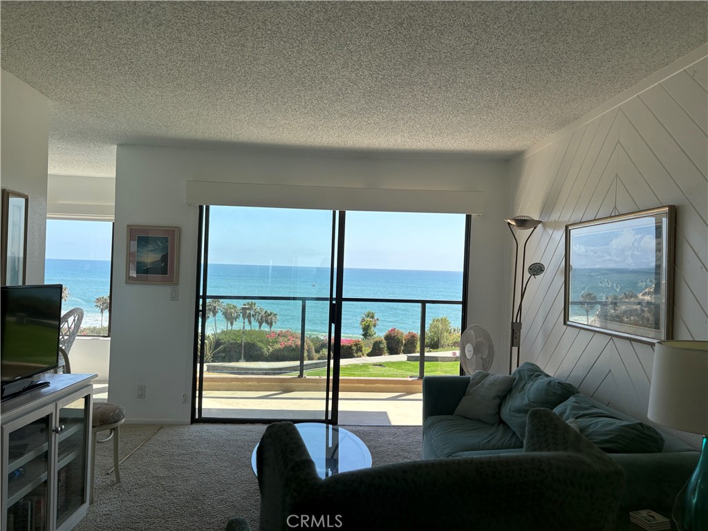 View from every living area - 250 Avenida Lobeiro E, San Clemente CA 92672 - photo 10
