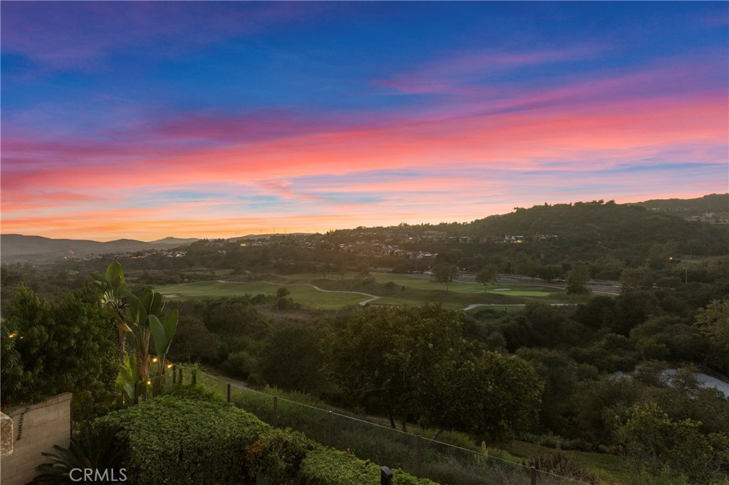 29 Via Cartama, San Clemente CA 92673 - photo 27