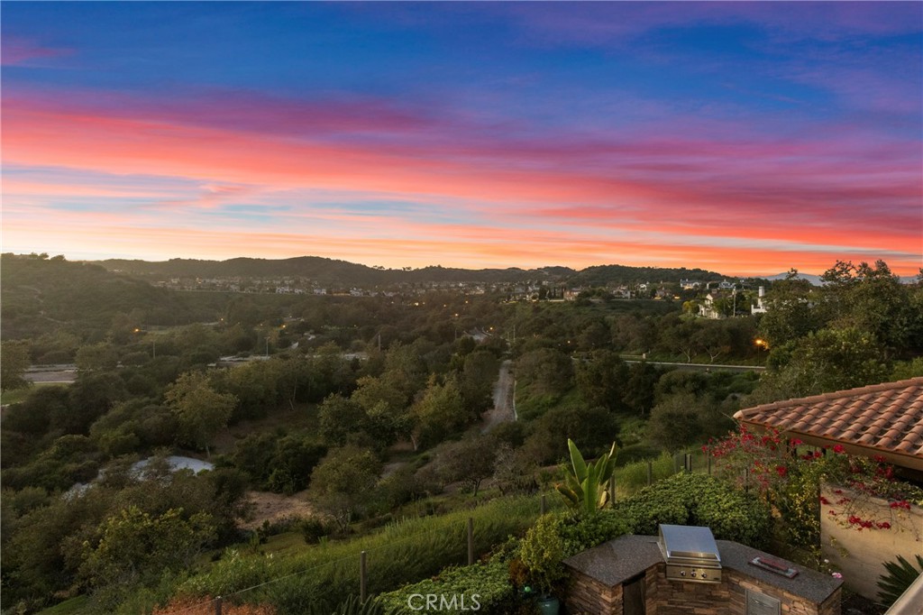 29 Via Cartama, San Clemente CA 92673 - photo 28