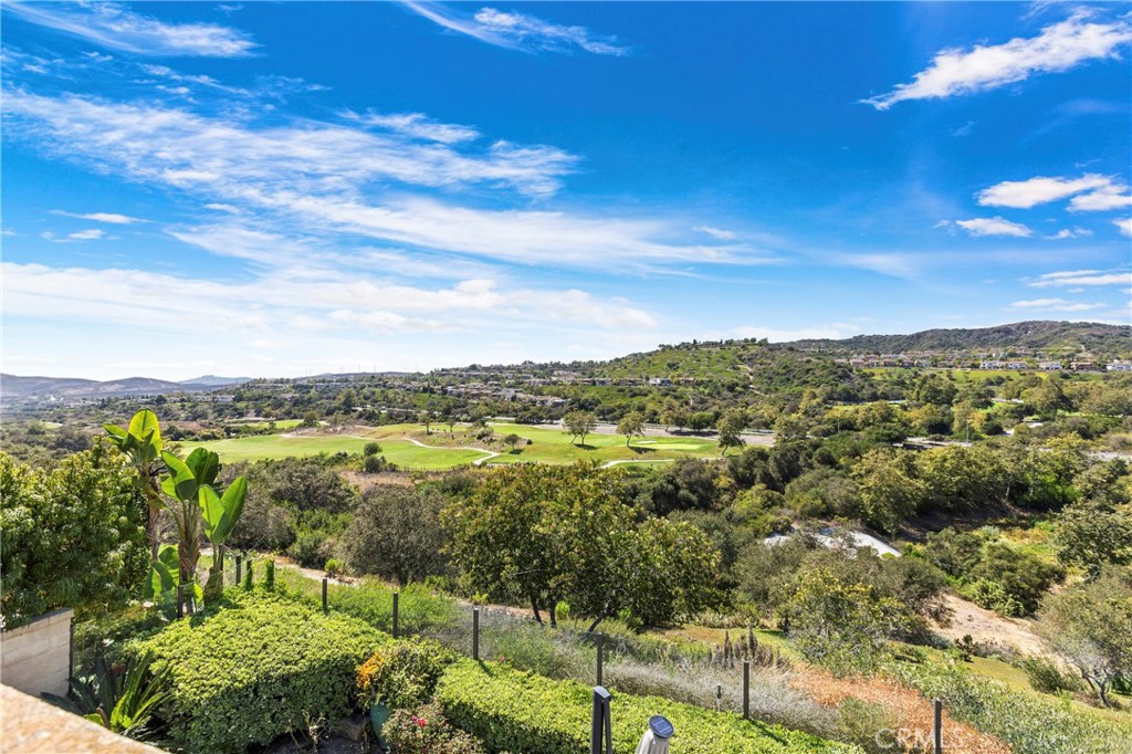 29 Via Cartama, San Clemente CA 92673 - photo 37