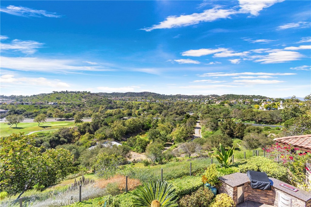29 Via Cartama, San Clemente CA 92673 - photo 44