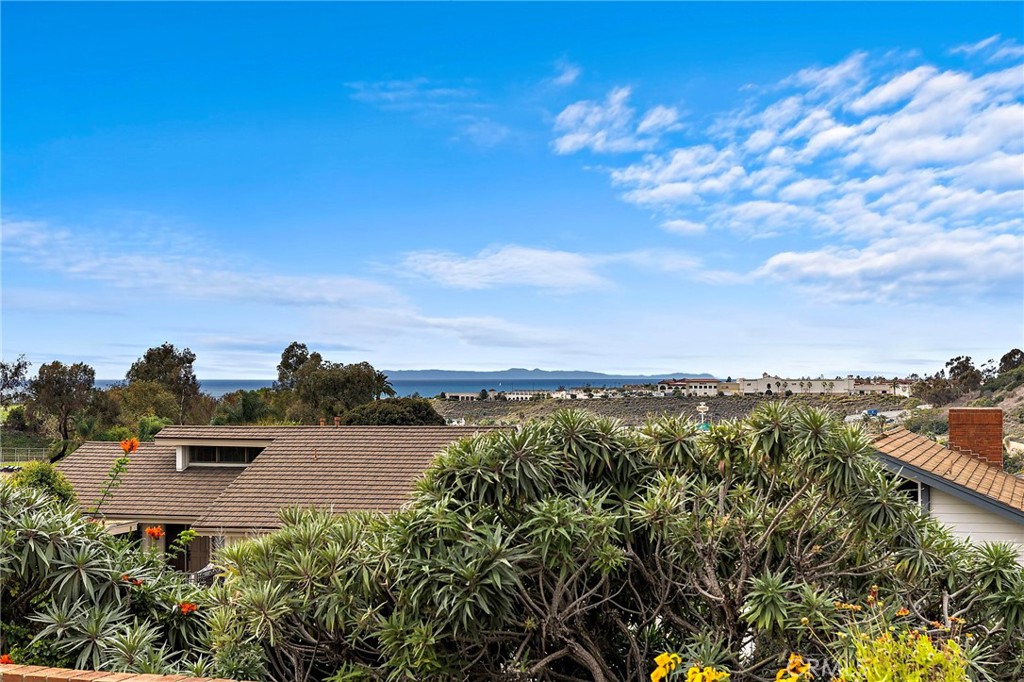 315 Calle Fiesta, San Clemente CA 92672 - photo 24