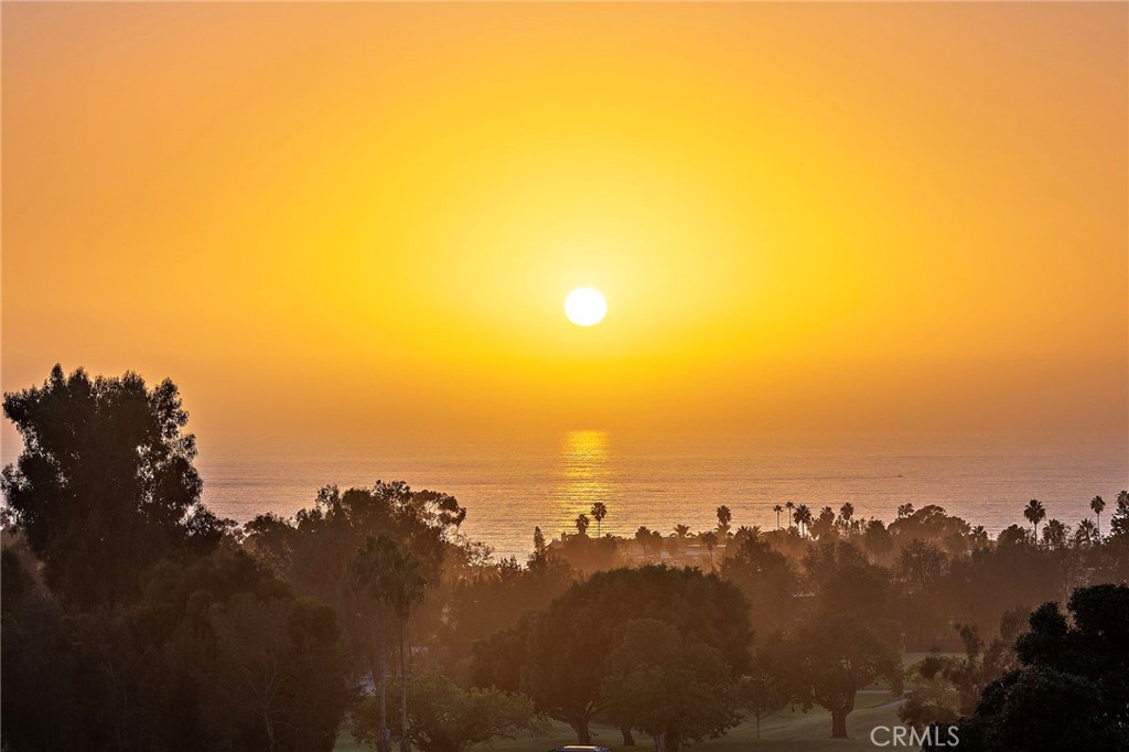 Sunset Views - 318 Avenida Costanso, San Clemente CA 92672 - photo 54