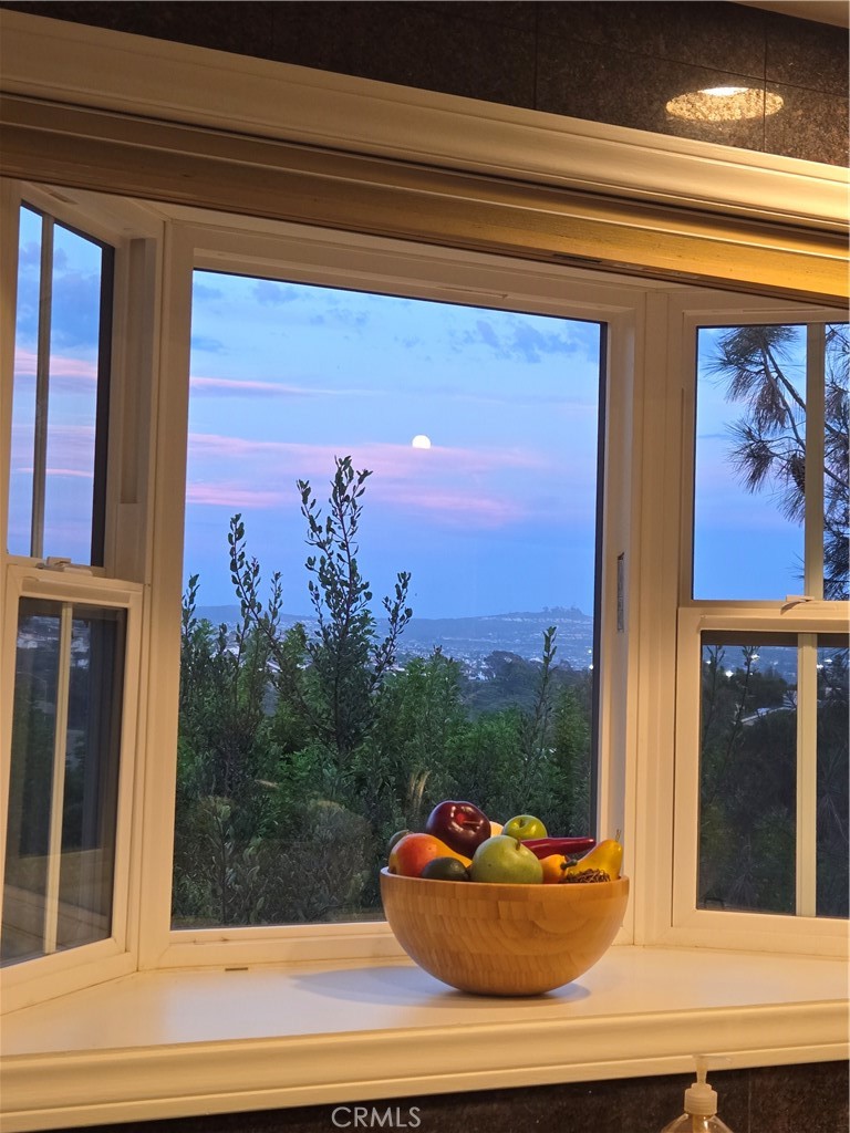 3501 Paseo Flamenco, San Clemente CA 92672 - photo 19