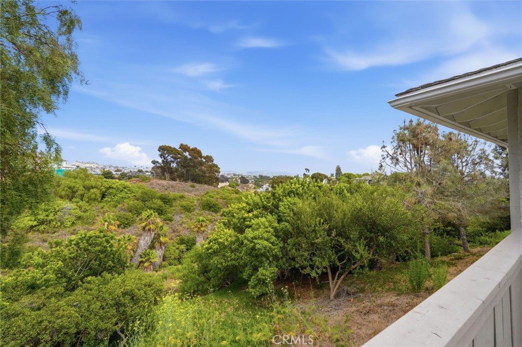 3501 Paseo Flamenco, San Clemente CA 92672 - photo 41