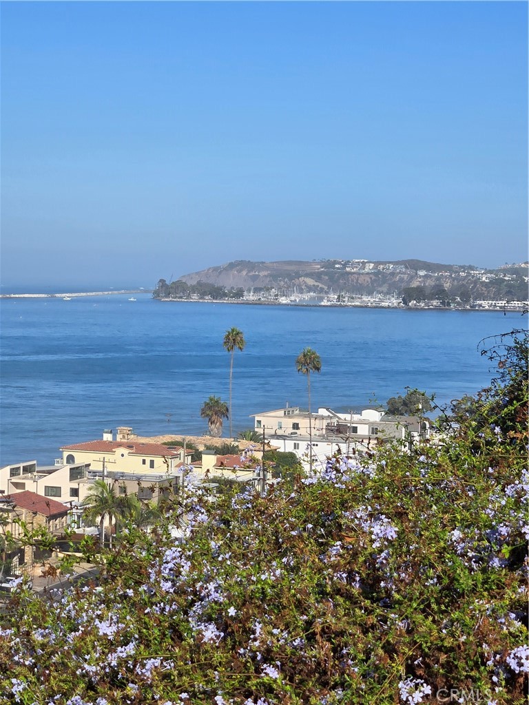 View from Viewpoint - 3501 Paseo Flamenco, San Clemente CA 92672 - photo 64