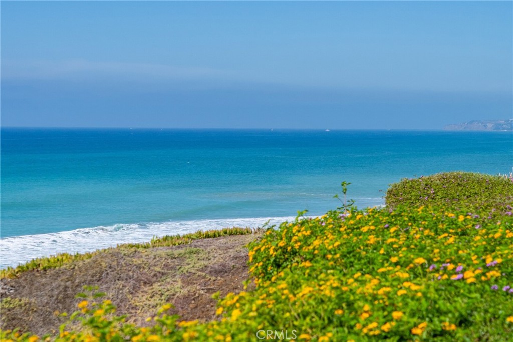409 Arenoso 2, San Clemente CA 92672 - photo 60