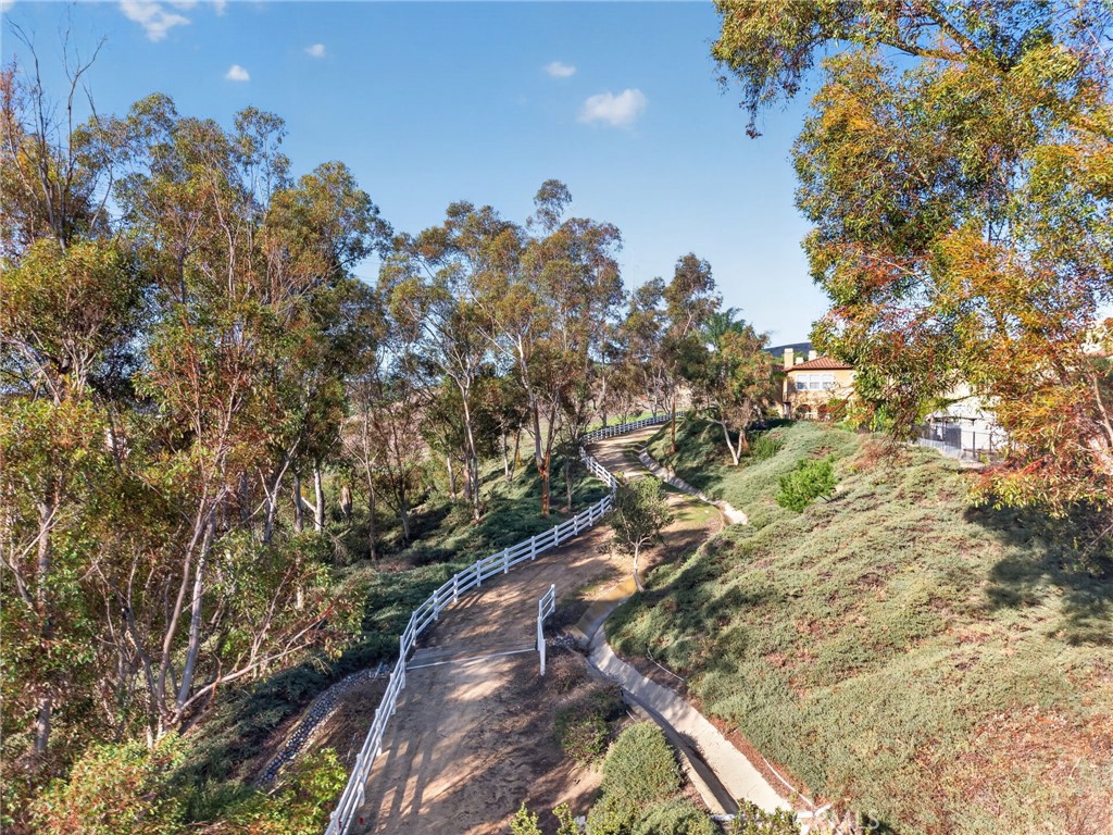 50 Paseo Verde, San Clemente CA 92673 - photo 57
