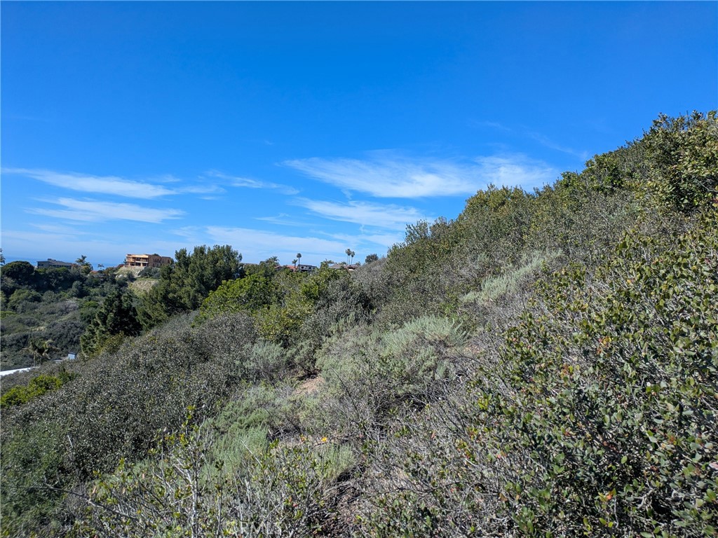 504 E Avenida San Juan, San Clemente CA 92672 - photo 2