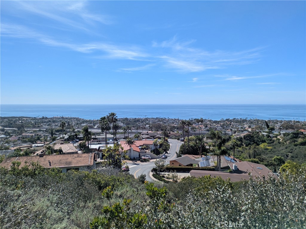 504 E Avenida San Juan, San Clemente CA 92672 - photo 3
