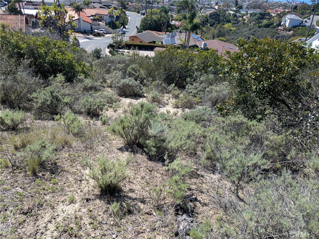 504 E Avenida San Juan, San Clemente CA 92672 - photo 5