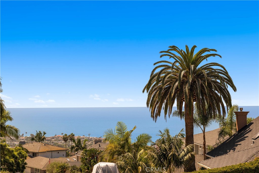 525 E Avenida San Juan, San Clemente CA 92672 - photo 38