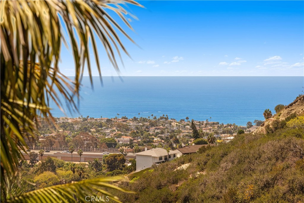 525 E Avenida San Juan, San Clemente CA 92672 - photo 39