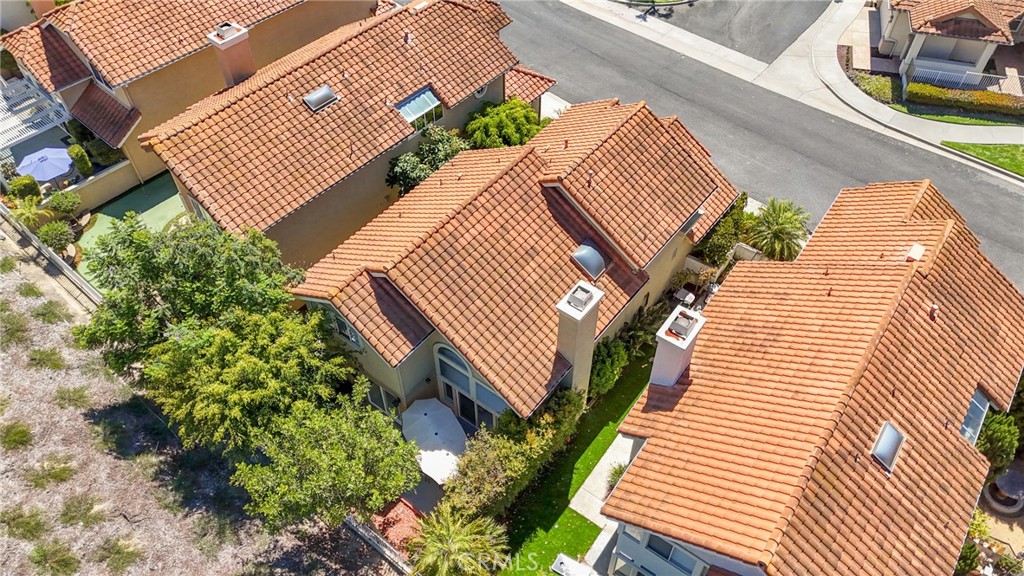 53 Finca, San Clemente CA 92672 - photo 53