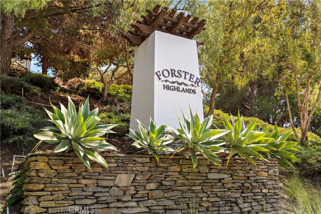 5606 Costa Maritima, San Clemente CA 92673 - photo 74