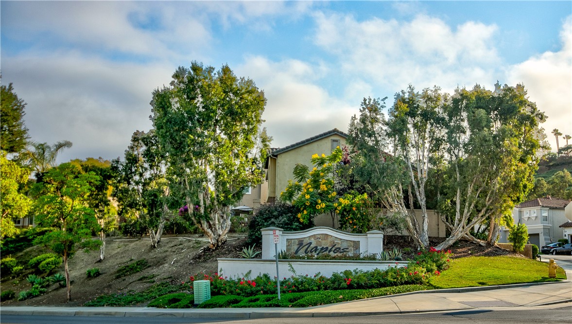 6 Avenida Fortuna, San Clemente CA 92673 - photo 1