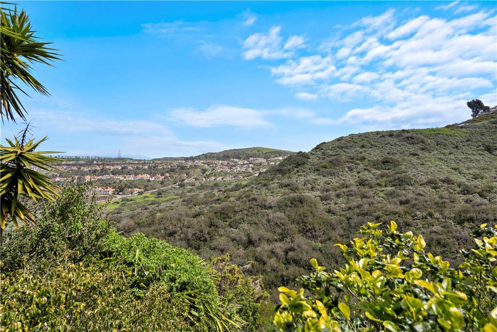 710 Avenida Columbo, San Clemente CA 92672 - photo 19