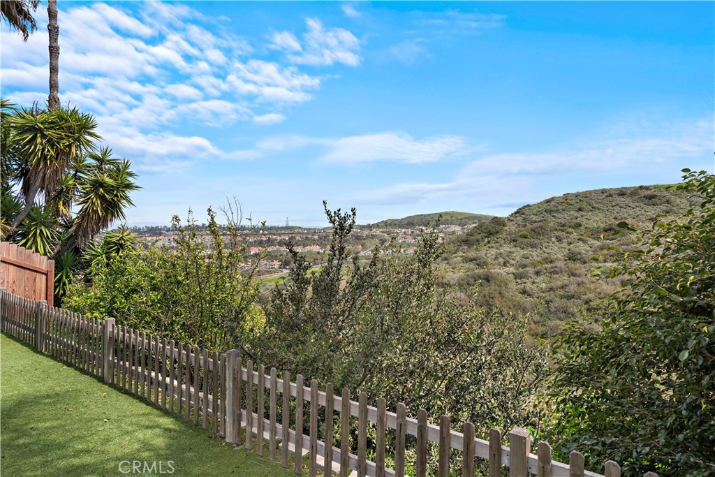 710 Avenida Columbo, San Clemente CA 92672 - photo 20