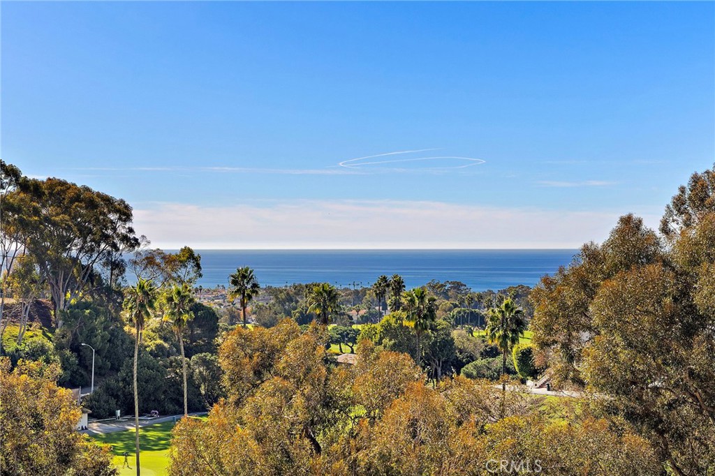 Beautiful Ocean View - 710 Calle Bahia, San Clemente CA 92672 - photo 1