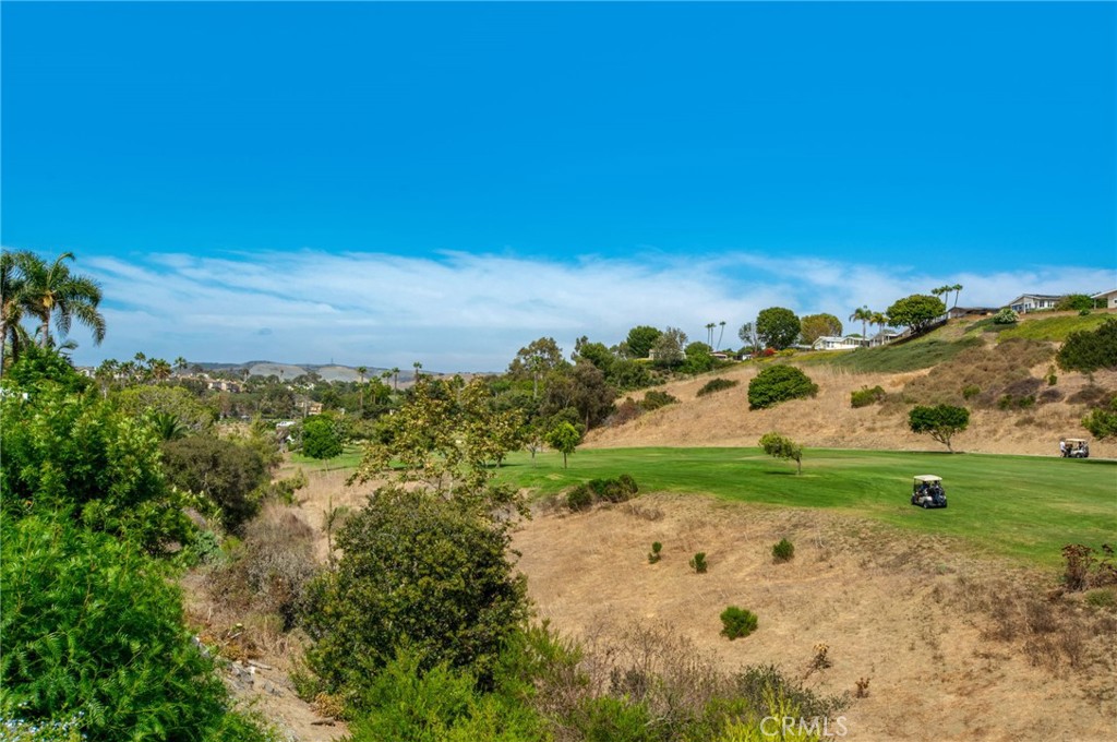 832 Camino De Los Mares, San Clemente CA 92673 - photo 54