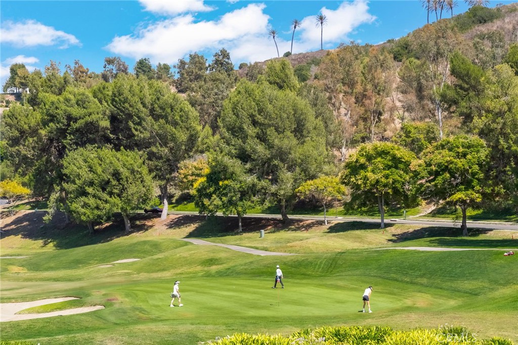 View from office/3rd bdrm - 12 Plaza Baja Del Sol, San Juan Capistrano CA 92675 - photo 9