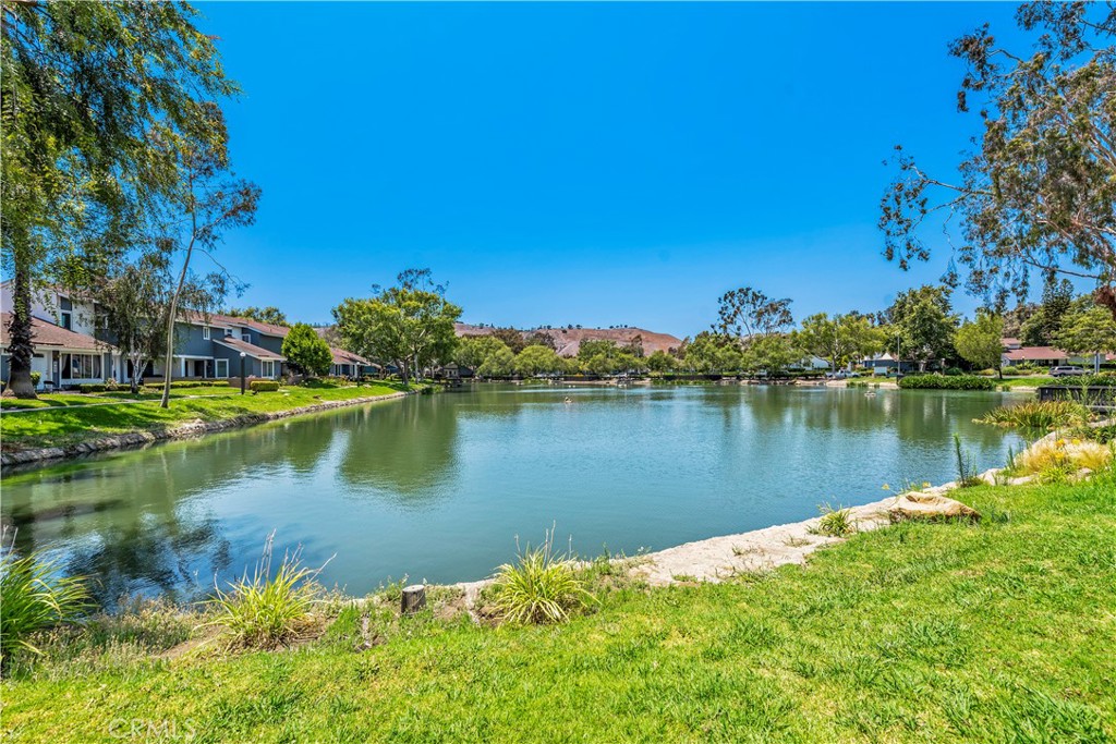 HOA - 26471 Evergreen Rd, San Juan Capistrano CA 92675 - photo 20