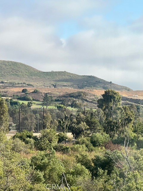 27086 Via Caminata, San Juan Capistrano CA 92675 - photo 3