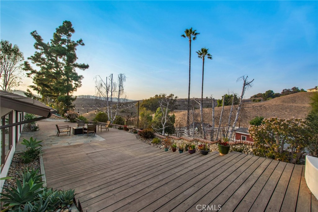 Patio area at the back of the house - 27151 Mission Hills Drive, San Juan Capistrano CA 92675 - photo 22