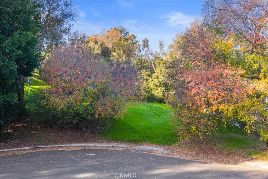 27281 Viewpoint, San Juan Capistrano CA 92675 - photo 16